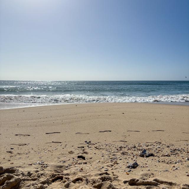 an earth track between pools of water